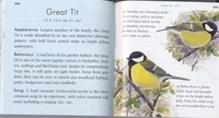 Le kit oiseaux. Attirez les oiseaux dans votre jardin