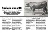A nos vaches.... Les races bovines disparue et menacées de France