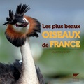 Marc Duquet - Les plus beaux oiseaux de France.