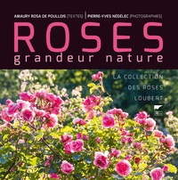 Amaury Rosa de Poullois et Pierre-Yves Nédélec - Roses grandeur nature - La collection des roses Loubert.