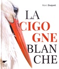 Marc Duquet - La cigogne blanche.