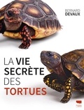 Bernard Devaux - La vie secrète des tortues.