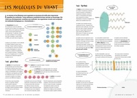Les bases de la biologie en 70 notions illustrées
