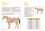 Olivier Laude et Claude Lux - Diagnostiquer les principales pathologies de votre cheval. Une méthode simple et efficace - Une méthode simple et efficace.