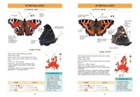 Papillons de jour d'Europe occidentale. Identifier tous les Papilionoidea et leurs chenilles