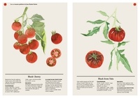 Les tomates