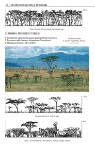 Mammifères d'Afrique. Plus de 300 espèces illustrées