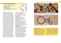 Serpents d'Europe, d'Afrique du Nord et du Moyen-Orient. Les 146 espèces du Paléarctique occidental  édition revue et augmentée