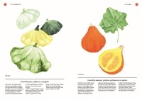 Les légumes fruits