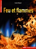 Louis Boyer - Feu et flammes.