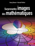 Georg Glaeser et Konrad Polthier - Surprenantes images de mathématiques.