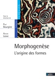 Paul Bourgine et Annick Lesne - Morphogenèse. L'origine des formes - L'origine des formes.