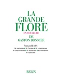 Gaston Bonnier - La grande Flore (Volume 9) - Famille 58 à 64.
