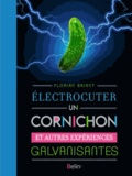 Florian Briant - Electrocuter un cornichon - Et autres expériences galvanisantes.
