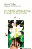 Jérôme Treiber - La Pleine Conscience - Chemin de guérison.