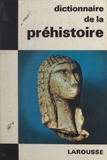 Michel Brézillon et  Collectif - Dictionnaire de la Préhistoire.