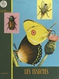 Victor Calvini - Les insectes.
