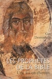Guy Desmichelle - Les prophètes de la Bible - Une foi en chemin.