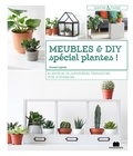 Vincent Layerle - Meubles et DIY spécial plantes ! - 24 modèles de jardinières, terrariums, pots, suspensions....