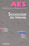 Thierry Pillon et François Vatin - Sociologie Du Travail.