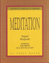 Sogyal Rinpoché - Méditation.