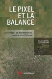 Elisabeth Botrel et Laurent Polidori - Le pixel et la balance - Les images de télédétection pour le droit foncier.