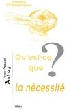 Jean-Pascal Anfray - Qu'est-ce que la nécessité ?.