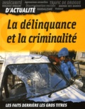 Iris Teichmann - La Delinquance Et La Criminalite.
