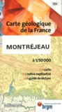  BRGM - Montréjeau - 1/50 000.