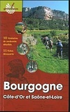  BRGM - Bourgogne.