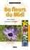 Jean-Paul Mandin - 80 fleurs du Midi.