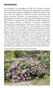 80 fleurs du Midi