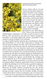 80 fleurs du Midi