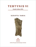 Claudio Gallazzi - Tebtynis - Volume 6, Scripta varia : textes hiéroglyphiques, hiératiques, démotiques, araméens, grecs et coptes sur différents supports.