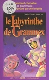 Christian Lamblin - Le labyrinthe de Grammex.