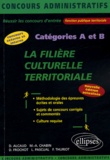 David Alcaud - La filière culturelle territoriale - Catégories A et B.