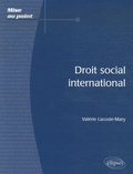 Valérie Lacoste-Mary - Droit social international.