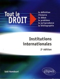 Saïd Hamdouni - Institutions internationales.