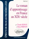 Claude Demay et Denis Pernot - Étude sur le roman d'apprentissage en France au XIXe siècle.