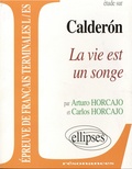Arturo Horcajo et Carlos Horcajo - Etude sur La vie est un songe, Caldéron.