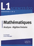 Salah Mehdi et Laurent Mesnager - Mathématiques - Analyse, algèbre linéaire.