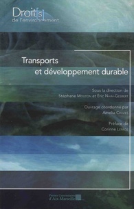 Stéphane Mouton et Eric Naim-Gesbert - Transports et développement durable.