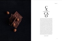 Cacao. De la fève à la tablette