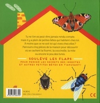 Nos voisins les insectes. Un livre à flaps pour débusquer les petites bêtes qui vivent dans la maison