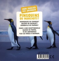 Pingouins ou manchots ?