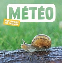  Naturagency - Météo.