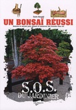 Carlo Genotti - Un bonsaï réussi.