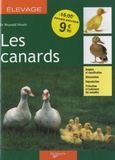 Reynald Nivoix - Les canards.