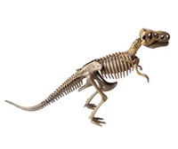 Mon coffret de chercheur de dino. Avec 1 livre, 1 crayon, des outils pour déterrer un squelette de dinosaure du bloc de plâtre, et le squelette du T.Rex  à assembler