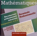 Alain Redding et Lionel Dupuydauby - Mathématiques Bac Pro industriels Groupement A et B Tle. 1 Cédérom